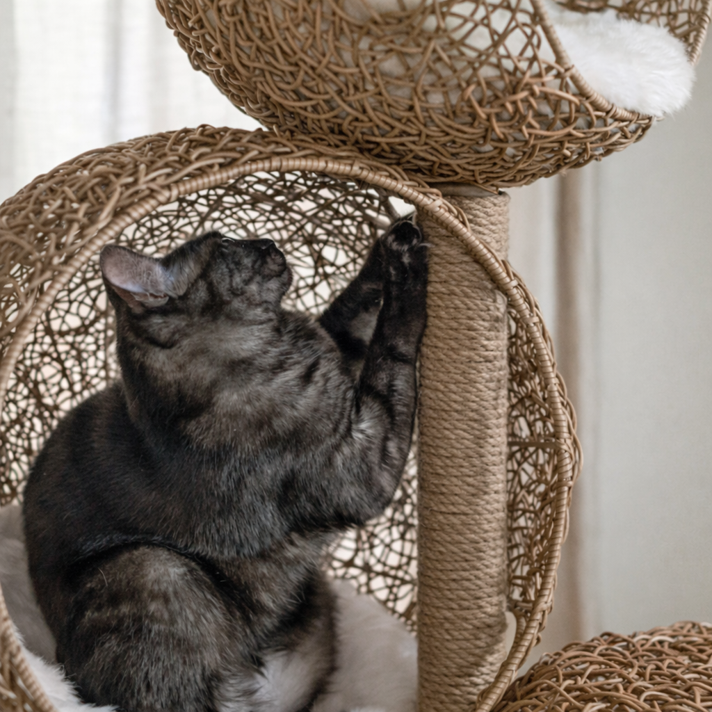 Arbre à chat TrioSphere