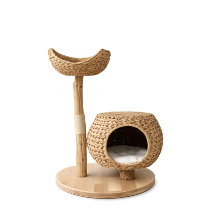 Arbre à chat DuoHaven