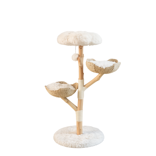 Arbre à chat ArboNest Plus