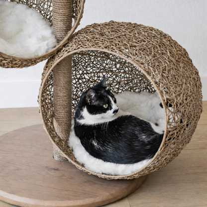 Arbre à chat TrioSphere