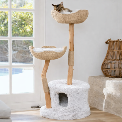 Arbre à chat ArboDuo